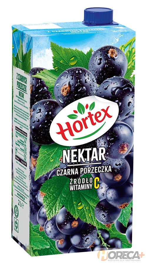 Hortex Nektar Czarna Porzeczka L Szt