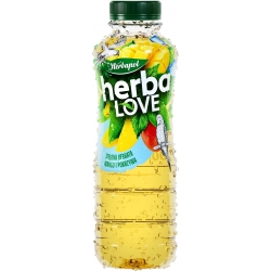 HERBALOVE zielona herbata mango i pokrzywa 500 ml /6 szt/