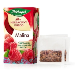HERBACIANY OGRÓD malina 20T