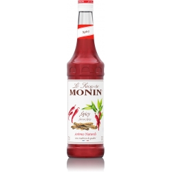 MONIN syrop winter spice - rozgrzewający 700ml