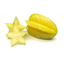 KARAMBOLA