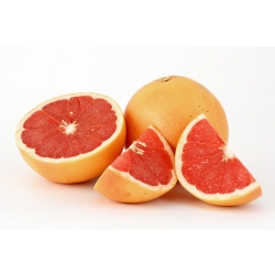 GREJPFRUT red ruby