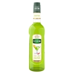 TEISSEIRE syrop kaktus 700ml